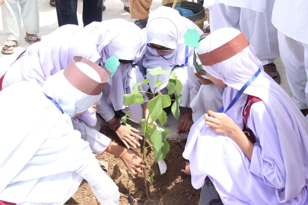 FRHD Activity Tree Plantation drive in Schools